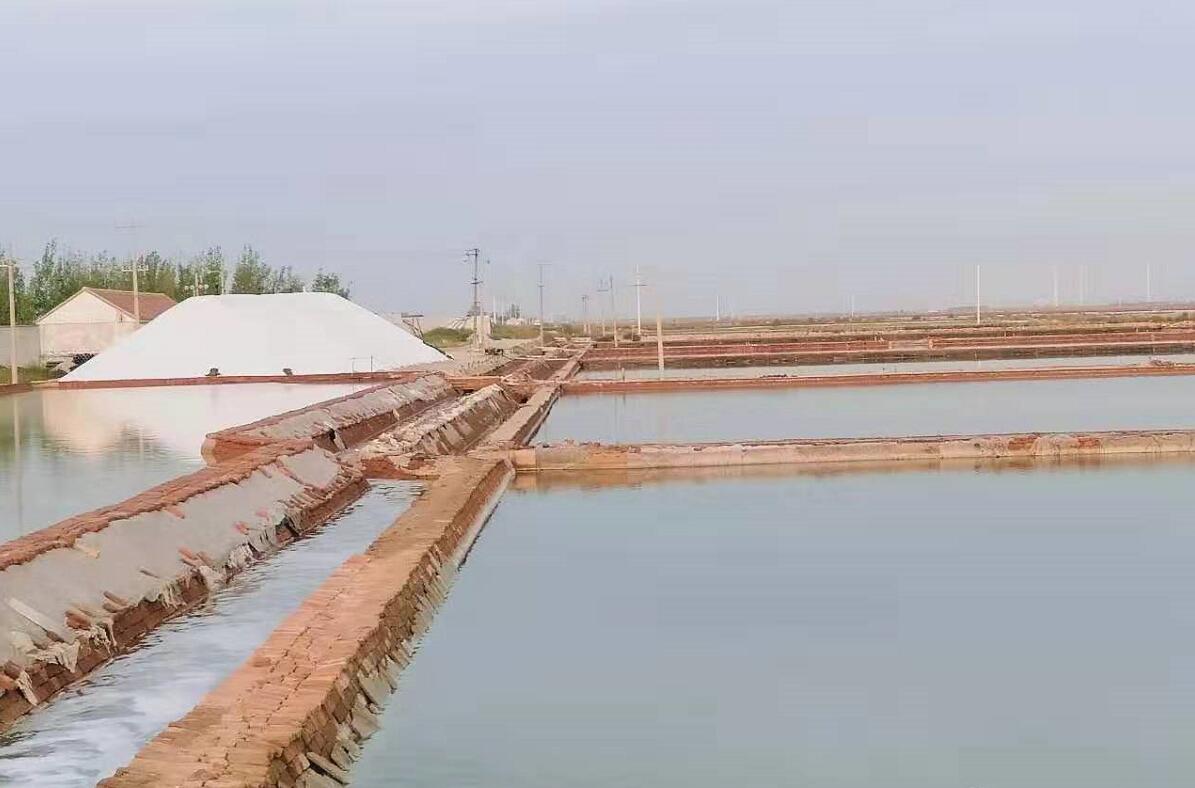 盐为什么可以化雪？